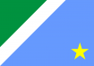 Bandeira do Mato Grosso do Sul